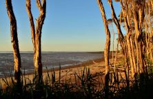 low tide on westernport bay.jpg